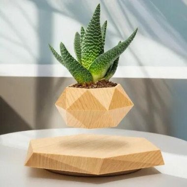Levitating Plant Pot Floating Plant Pot for Small Plants Home Office Decor Magnetic Floating Levitating Display (Wood)