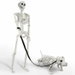 Lighted Human Dog Skeleton Halloween Decorations Outdoor Indoor 36 Inch Realistic Full Body Movable Posable Skeleton Spooky Halloween Decor. Available at Crazy Sales for $39.99