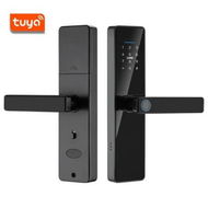 Detailed information about the product Lock Smart Handle Fingerprint Door Tuya Keypad Card Digital Security Home Entry Safety Security Access Gadget