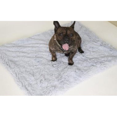 Long Fleece Pet Mat Double-layer Pet Blanket Golden Hair For Large And Small Dogs. Dog Mat And Cat Blanket Warm And Comfortable. Size: 100*75CM.