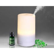 Detailed information about the product LUD Aromatherapy Ultrasonic Aroma Diffuser Humidifier Air Purifier - Warm Light