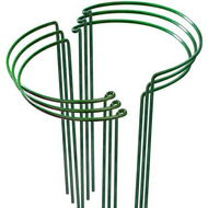 Detailed information about the product Metal Plant Support Peony 6pcs Stakes Rings Cages Indoor Outdoor Green Vegetables Flowers Gardening 4mm Thick Steel