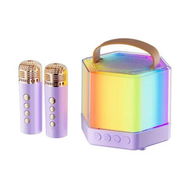 Detailed information about the product Mini Karaoke Machine for Kids, Portable Bluetooth Karaoke Speaker with 2 Wireless Microphones and Party Lights, Birthday Gifts for Girls Boys, Purple