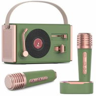 Detailed information about the product Mini Karaoke Machine Portable Bluetooth Speaker with 2 Wireless Microphones and Charging Pod, Stereo Sound Enhanced Bass Gifts for Girls,Green