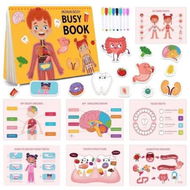 Detailed information about the product Montessori Busy Book for Kids,Human Body Anatomy Book,Learning Activities,Autism Sensory Toys,Travel Toys,Gifts For Kids 3+