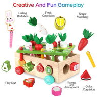 Detailed information about the product Montessori Educational Wooden Toys For Baby Boys Girls Shape Sorting Toys Gifts For 1-3 Year Olds Fine Motor Skills Game