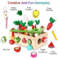 Detailed information about the product Montessori Educational Wooden Toys for Baby Boys Girls Shape Sorting Toys Gifts for 3+ Year Olds Fine Motor Skills Game