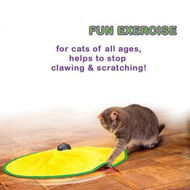 Detailed information about the product Motorized Wand Cat Toy 4 Speed Settings The Toy Your Cat Cant Resist