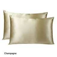 Detailed information about the product Mulberry Silk Pillowcase Twin Pack - Size: 51x76cm - Champagne.