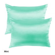 Detailed information about the product Mulberry Silk Pillowcase Twin Pack - Size: 51x76cm - Mint.