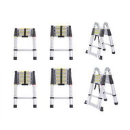 Detailed information about the product Multipurpose Ladder Telescopic 2M Silver 2 Meter