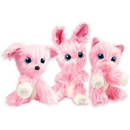 Detailed information about the product Mystery Rescue Dog Cat Or Rabbit