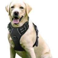 Detailed information about the product No-Pull Dog Harness with Reflective Safety,2 Leash Clips,Adjustable Soft Padded Vest,Easy Control(Large Size,Black)