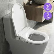 Detailed information about the product Non Electric Bidet Toilet Seat WaterMark Certified D Shape Dual Nozzle Manual Wash Soft Close Lid Freshwater Sprayer Easy Installation Hygieia