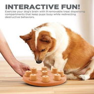 Detailed information about the product Outward Hound Dog Smart Orange Composite Interactive Treat Puzzle Dog Toy