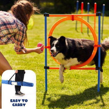 Pet Dog Jump Ring Puppy Agility Hoop Equipment Interactive Toys Exercise Training