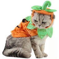 Detailed information about the product Pet Pumpkin Costume For Cats And Small Dogs Party Halloween Cosplay