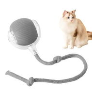 Detailed information about the product Pet Smart Rolling Ball, Cat Toy Ball, Electric Cat Toy Ball, Self Entertainment Cat Ball, Indoor Cat Toys, Cat Puzzle Toy, Cat Balls for Playing and Interaction, Perfect for Cat Lovers, Grey