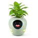 Plantbot Upgraded Large Smart Flower Pot Pet Planter Robot with Artificial Intelligence, Time Temperature Display for Indoor Decoration, Gifts, Green. Available at Crazy Sales for $179.95