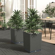 Detailed information about the product Planters 2 Pcs Black 30x30x37 Cm Polypropylene