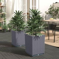 Detailed information about the product Planters 2 Pcs Dark Grey 30x30x37 Cm Polypropylene