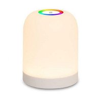 Detailed information about the product Portable LED Table Lamp With Touch SensorNight Lamp With Hanging Ring Long Battery Life RGB Lights For Nursery Camping And Bedroom