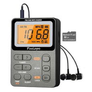 Detailed information about the product Portable Radio AM FM, Rechargeable Pocket Speaker with Best Reception Digital Tuning, MP3, Stereo Earphone for Jogging, Gym, Camping, Grey