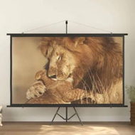 Detailed information about the product Projection Screen 108 16:9