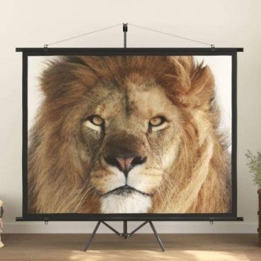 Projection Screen 254 Cm 4:3.