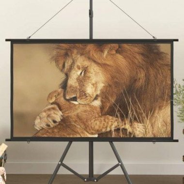 Projection Screen 50