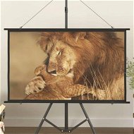 Detailed information about the product Projection Screen 50