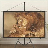 Detailed information about the product Projection Screen 60
