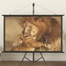 Projection Screen 60