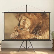 Detailed information about the product Projection Screen 84