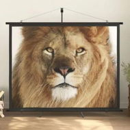 Detailed information about the product Projection Screen 84 4:3