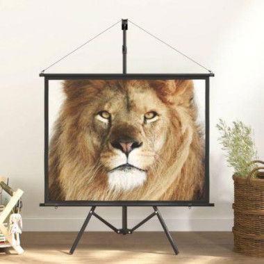 Projection Screen with Tripod 50