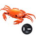 RC Crab Animal Toy Remote Control Car Vehicle Electronic Fake Insect for Kids Birthday Gift Christmas Halloween. Available at Crazy Sales for $24.95