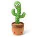 Rechargeable Dancing Talking Cactus Toy, Interactive Singing Mimicking Cactus Toy for Kids Age 3 to 12. Available at Crazy Sales for $9.95