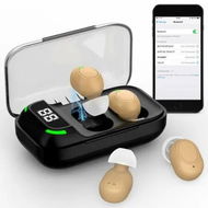 Detailed information about the product Rechargeable Hearing Aids for Seniors,Nearly Invisible,Intelligent Noise Reduction and Bluetooth for Mild to Moderate Hearing Los-Skin