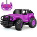 Remote Control Car, Remote Control Monster Truck, 2.4Ghz LED Light Off-Road RC Cars,Toy Cars Gift for Kids Boys Girls 6+ Years Old (Purple). Available at Crazy Sales for $29.95