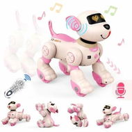 Detailed information about the product Robot Dog Toy Voice & 2.4GHz Remote Control Robot Pet with Interactive Touch Sensors Robotic Puppy Toy for Boys & Girls(Pink)