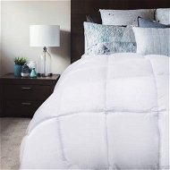Detailed information about the product Royal Comfort 800GSM Silk Quilt - Double