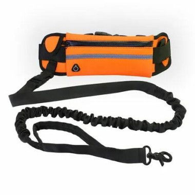 Running Waist Bag with Reflective Dog Walking Leash for Night Jogging with Leash for Outdoor Activities, Orange
