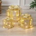 Set of 3 Christmas Light Gift Boxes Decorations LED Light Up AAA Battery Power Tree Ornament Indoor Outdoor Holiday Party Home Yard Size 15CM 20CM 25CM. Available at Crazy Sales for $54.11