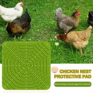 Detailed information about the product Silicone Chicken Coop Mats Nesting Box Liners Washable Reusable For Eggs Bedding Pads Color Green