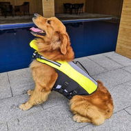 Detailed information about the product Size L 62-92cm Dog Life Jacket Dog Life Vest With Superior Buoyancy Pet Swimming Safety Vest With Rescue Handle