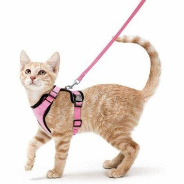 Size S Cat Harness Leash For Walking Escape-Proof Soft Adjustable Easy Control Breathable Reflective Strips Jacket (Pink).