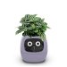 Smart Flowerpots,Smart Pet Planter,AI Planter,Intelligent Flowerpots,Multiple Expressions,7 Smart Sensors,and AI Chips Make Raising Plants Easy and Fun for Living Room,Plant-free (Purple). Available at Crazy Sales for $119.99