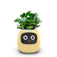 Detailed information about the product Smart Pet Planter Flowerpots Intelligent AI Multiple Expressions 7 Sensors Chips Easy Plant Raising Greenery Modern Home Decor Tech Gadget Indoor Greenery Yellow