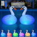 Solar inflatable Swan Floating Pool Ball Lights RGB Swan Waterproof Summer Fun Swimming Pool Spa Patio Wedding Party Beach Decorations. Available at Crazy Sales for $34.99